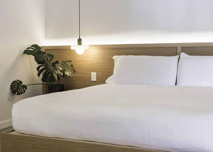 Best Bet Motor Lodge Reno